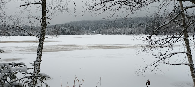 Opinii despre Restaurace a pension U Tetřeva în Kladská - Gastronomie a pohostinství