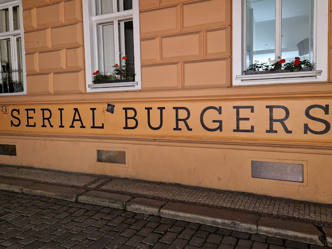 Comentarii opinii despre Serial Burgers