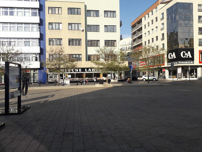 Mléčné lahůdky Laštůvka - Gastronomie a pohostinství