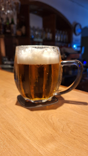 Opinii despre Restaurace Slunce în Dvůr Králové nad Labem - Gastronomie a pohostinství