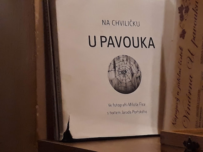 U pavouka - Pardubice