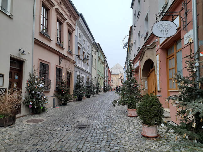 Opinii despre Koldovna în Olomouc - Gastronomie a pohostinství