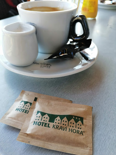 Opinii despre Hotel Kraví Hora în Brno - Gastronomie a pohostinství