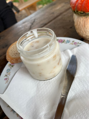 Opinii despre Pivovar Počátky în Pardubice - Gastronomie a pohostinství