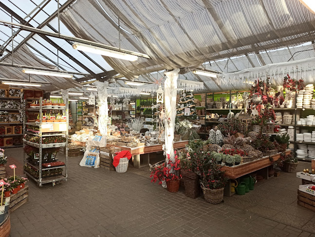 Comentarii opinii despre Café Dvořák a syn