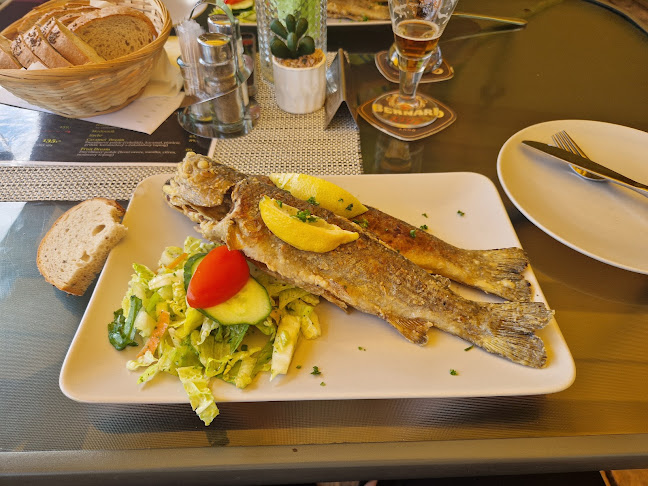 Opinii despre Restaurace Zámeček în Pardubice - Gastronomie a pohostinství
