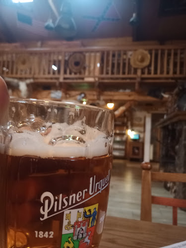 Opinii despre Country Saloon în Beňovy - Gastronomie a pohostinství