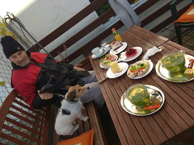 Cukrárna Malvazinky (Snídejte Šampaňské) - Gastronomie a pohostinství