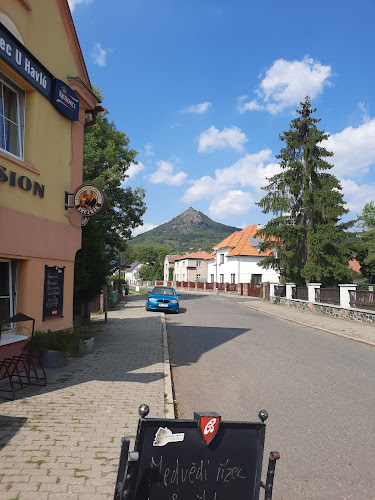 Zimmerova 261, 411 13 Třebenice