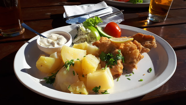 Opinii despre Restaurace U Šmídů în Bílá Třemešná - Gastronomie a pohostinství