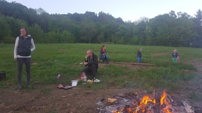 KD Mlejn - Gastronomie a pohostinství