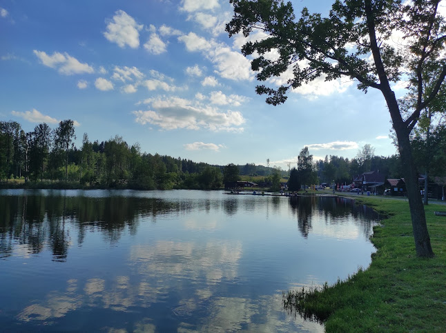 Comentarii opinii despre Kemp Nový rybník