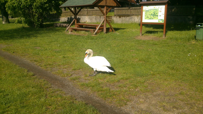 Comentarii opinii despre Penzion & Café "Na Zámečku 1609"