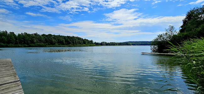 Olešnice ev. č. 106, 549 41 Zábrodí