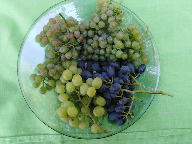 Comentarii opinii despre Hostinec U Rudy