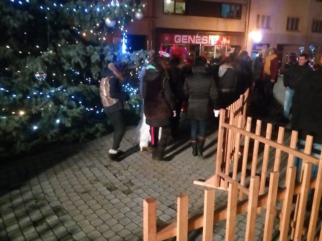 Vanderka Libor - Gastronomie a pohostinství