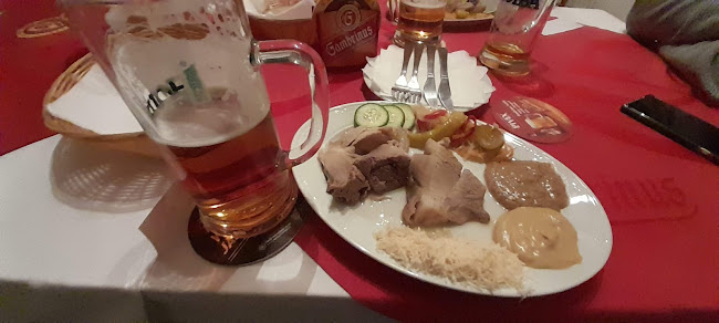 Comentarii opinii despre Hostinec u Myšáka