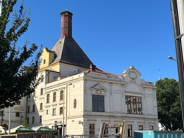 Comentarii opinii despre Pivovarská Starobrno