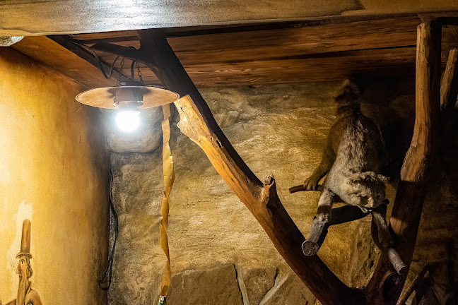 Opinii despre Černohorská pivnice pod Starým hradem în Bzenec - Gastronomie a pohostinství