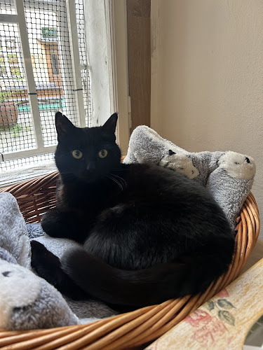 Michalská 430/3, 110 00 Staré Město