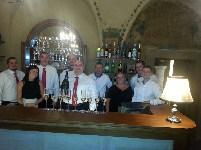 Comentarii opinii despre Restaurace U Malířů1543