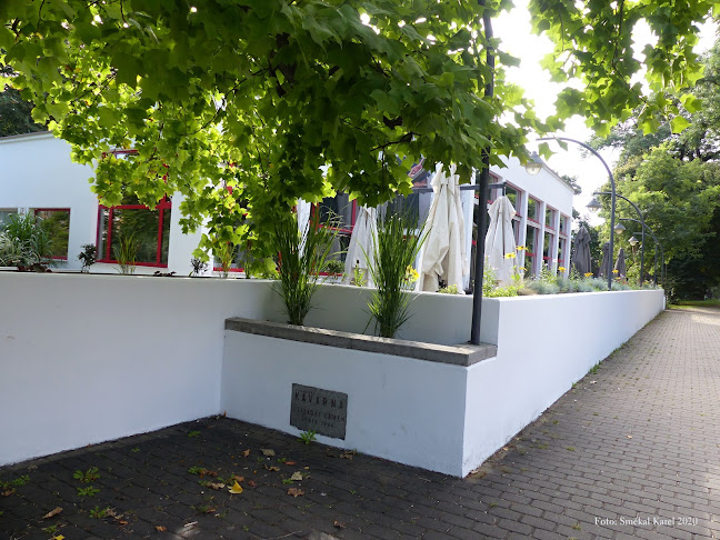 Zemanova kavárna - Brno