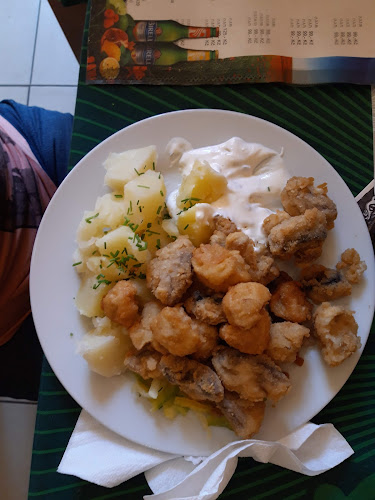 Kpt. Jaroše 107, 680 01 Boskovice