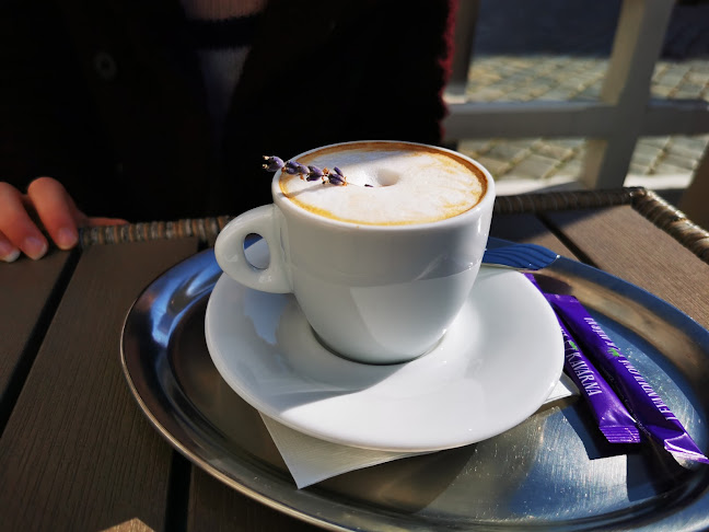 Horní nám. 365/7, 779 00 Olomouc 9