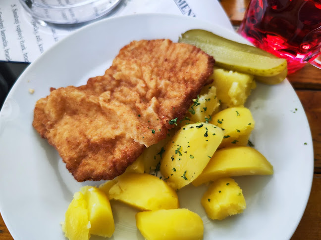 Penzion MLÝN - Brno