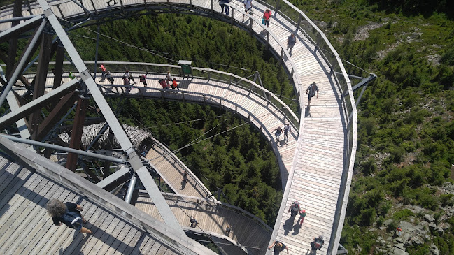 Opinii despre Pekařství - Petr Adamec în Nekoř - Gastronomie a pohostinství