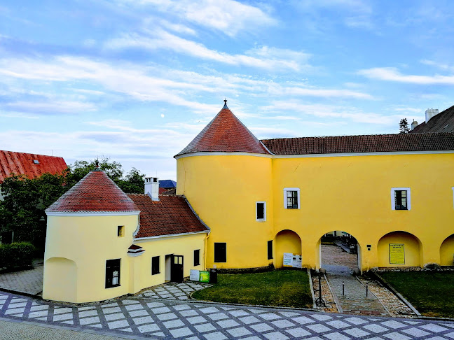 Opinii despre Pivnice Cobra în Pod Bezručovým vrchem - Gastronomie a pohostinství