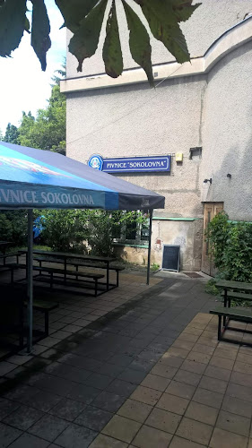 Pivnice Sokolovna - Gastronomie a pohostinství