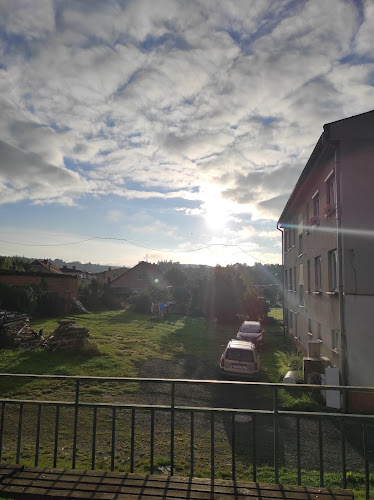 Opinii despre Soukromý klub u Draka în Svojšín - Gastronomie a pohostinství