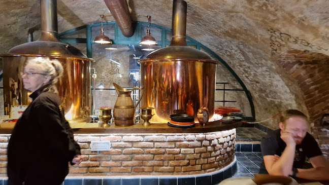 Opinii despre Knížecí pivovar Plasy în Plzeň - Gastronomie a pohostinství