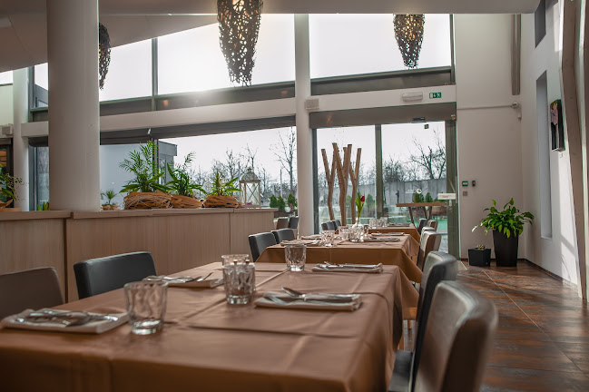 Comentarii opinii despre Restaurace Hnízdo