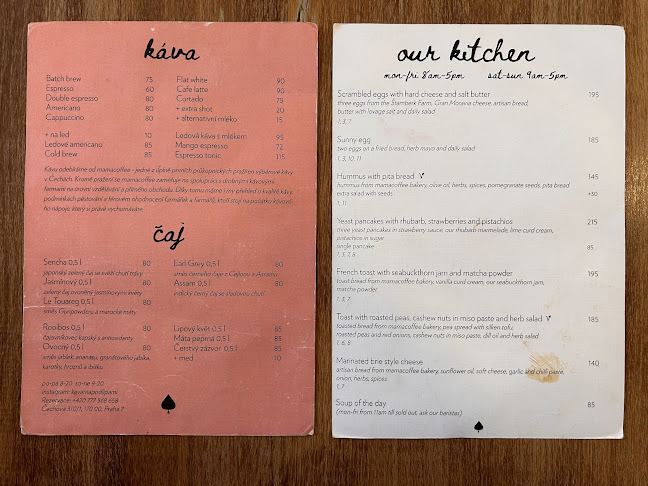 Čechova 310 /1, 170 00 Praha 7-Bubeneč