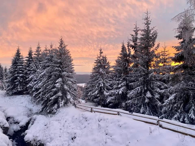 Comentarii opinii despre Hotel & Restaurace Modrá Hvězda