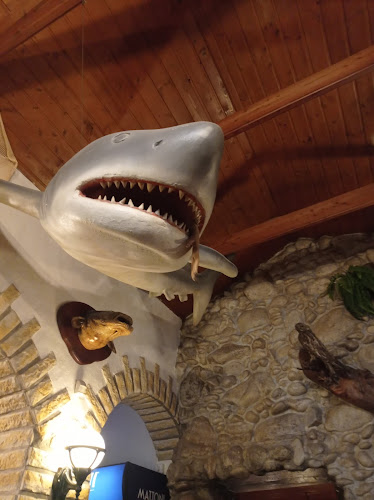 Comentarii opinii despre Restaurace Na Rybářské Baště