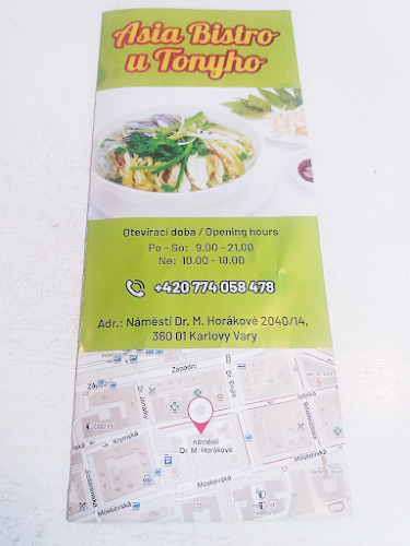 Opinii despre Asia Bistro U Tonyho în Karlovy Vary - Gastronomie a pohostinství