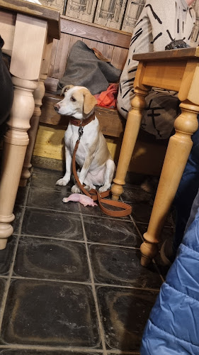 Opinii despre Pivovar Prokopák în Praha - Gastronomie a pohostinství