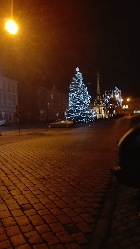 Bar Modrá Hvězda - Gastronomie a pohostinství