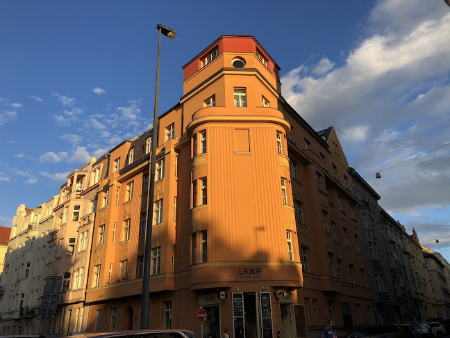 U Akademie 366/11, 170 00 Praha 7-Bubeneč