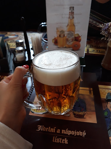 Comentarii opinii despre Pivnice U Švejků
