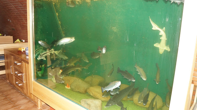 Comentarii opinii despre Sklep U Hastrmana