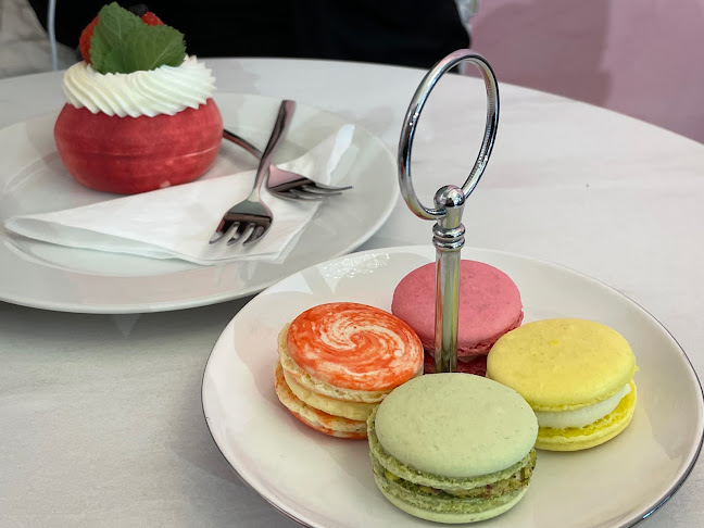 Opinii despre Mad Rabbit în Staré Město - Gastronomie a pohostinství