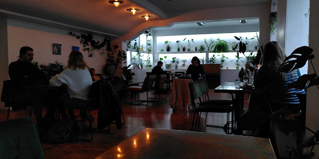 Kounicova 7, 602 00 Brno-střed