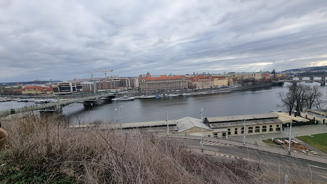 Letenské sady 173, 170 00 Praha 7-Letná