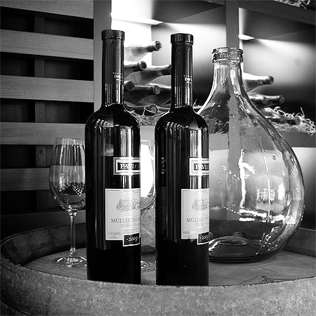 Barmanská show Elvis & Frankie Bar Agency