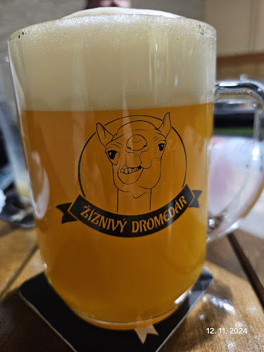 Žíznivý dromedár - Minipivovar a restaurace Ostrava - Ostrava