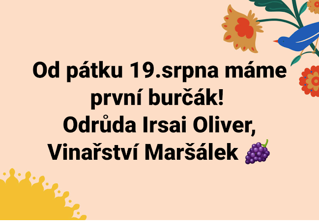 Comentarii opinii despre Neřežínka